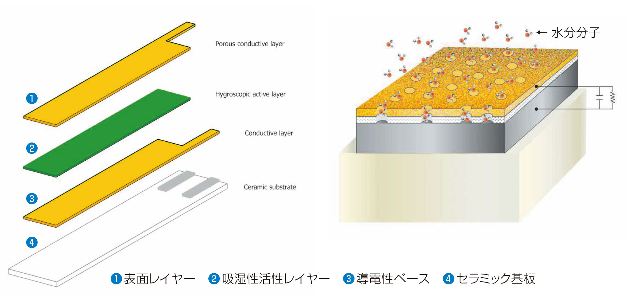 静電容量式テクノロジー