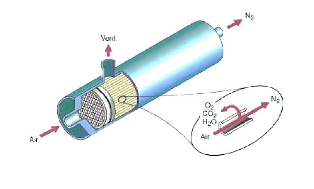 PST22-03_Membrane.png